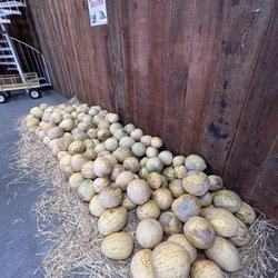 Crane Melon Barn