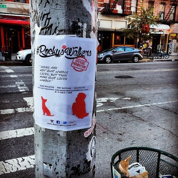 Rockys Walkers - If you see us, shout us out! #RockysWalkers - Dog Walkers Near Me - New York, New York Rockys Walkers - If you see us, shout us out! #RockysWalkers - Dog Walkers Near Me - New York, New York