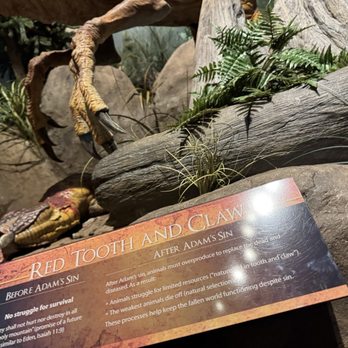 Creation Museum - Museums Near Me - Petersburg, Kentucky