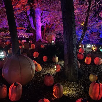 Harvest Nights at Newfields - Festivals Near Me - Indianapolis, Indiana Harvest Nights at Newfields - Festivals Near Me - Indianapolis, Indiana