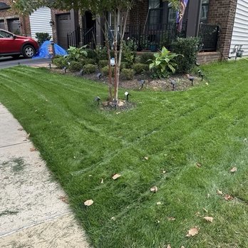 Bloom - After - Front - Home & Garden Near Me - Washington, DC, District of Columbia