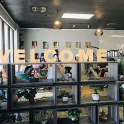 Welcome to this oasis! It is shared with Ding Tea .