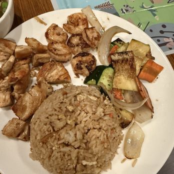 Jellyfish - House Delight Hibachi Entrée for $26 - Japanese Near Me - Houston, Texas