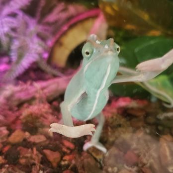 PetSmart - Pet Training Near Me - Peoria, Arizona