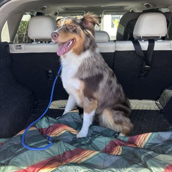 Sparkle Grooming - Pet Groomers Near Me - Scottsdale, Arizona Sparkle Grooming - Pet Groomers Near Me - Scottsdale, Arizona