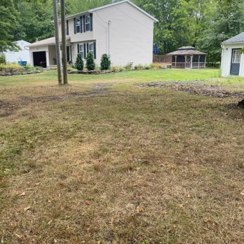 Top Notch Trees - a large yard with a house in the background - Tree Services Near Me