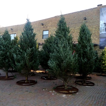 Jayson Home - Home Decor Near Me - Chicago, Illinois