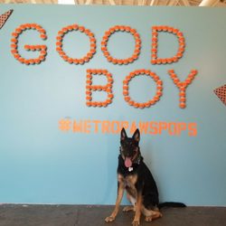 PetPop
