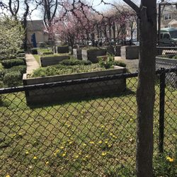 Curtis 50 Cent Jackson Community Garden