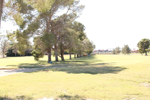 Craig Ranch Regional Park by null
