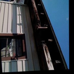 E & J Home Improvements - Wood, rot, what,