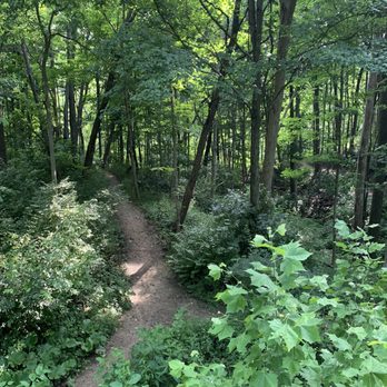 Flat Fork Creek Park - Hiking Near Me - Fortville, Indiana