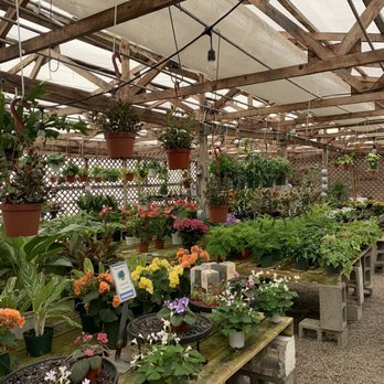 Andersons La Costa Nursery - part of the indoor plants section - Nurseries & Gardening Near Me - Encinitas, California Andersons La Costa Nursery - part of the indoor plants section - Nurseries & Gardening Near Me - Encinitas, California