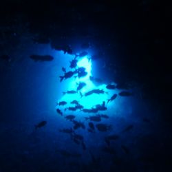 Atlantis Scuba