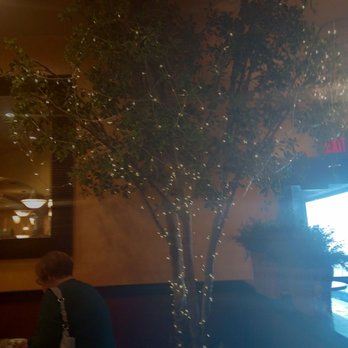 Galo's Italian Grill - Tree decorated for the holidays - Italian Near Me - Richmond, Indiana