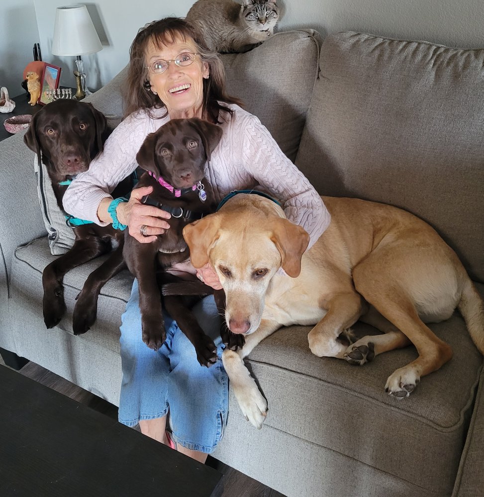 BEST FRIENDS DOG TRAINING BEHAVIOR & EVALUATIONS 199 Photos 1919