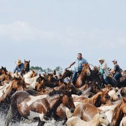Cowboy Cruise Company