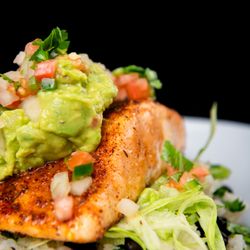 Coastal Catch Salmon