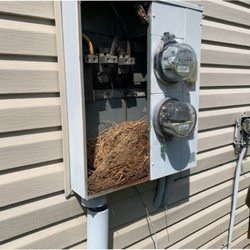 The BrickKicker - View of a birds nest inside the electric meter.