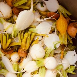North & Southeats - Local fall veggies