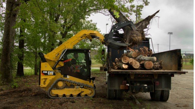 Falcon Excavating & Tree Service - tree service in Chatham, IL