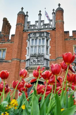 Hampton Court Palace by null
