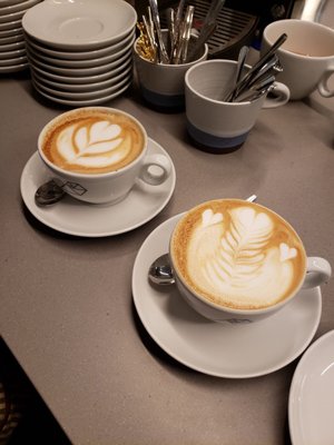 Structure Roasters - Structure Torréfacteurs by null