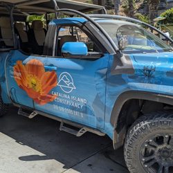 Catalina Island Conservancy - Buckle up and let's go