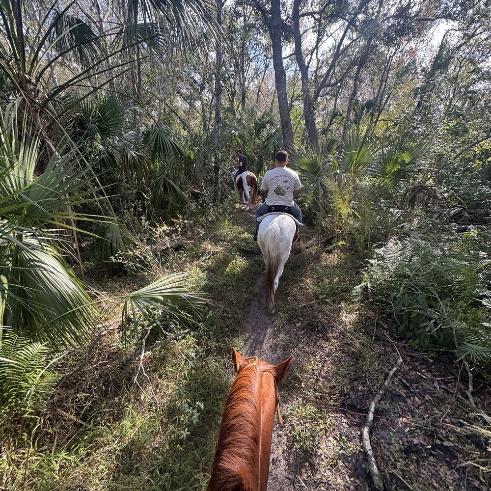 Sun City Stables - Horseback Riding Near Me - Sun City, Florida