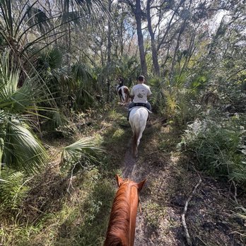 Sun City Stables - Horseback Riding Near Me - Sun City, Florida