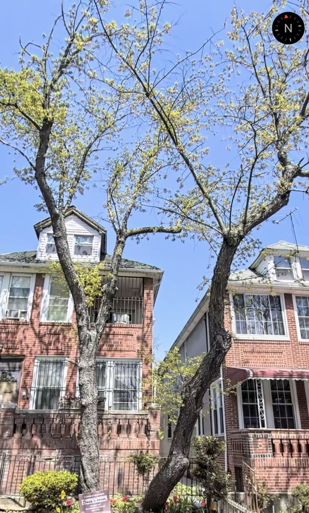 Dependable Lawn Care and Construction - tree service in Booklyn, NY