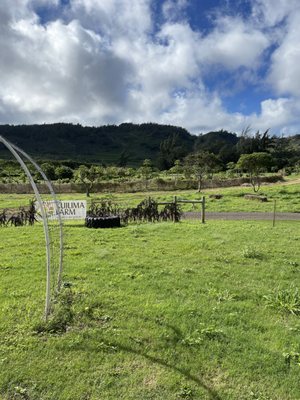 Kuilima Farm Stand by null