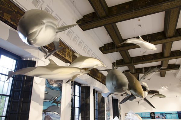 Casa de la Ciencia by null