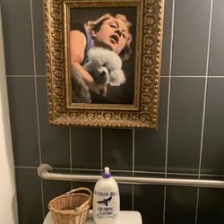 The birds (ladies) room