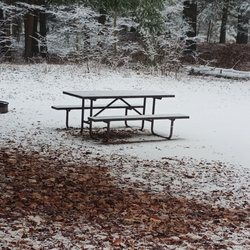 Point Beach State Forest - Camp site.