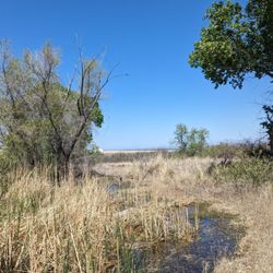 Brown Canyon Ranch - Pond