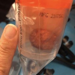 Cary Grove Animal Hospital - Bladder stone from my little terrier