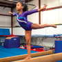 Photo of Metro South Gymnastics Academy