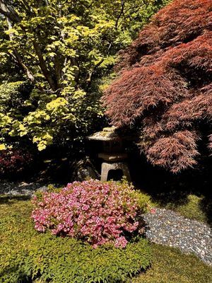 Seattle Japanese Garden by null