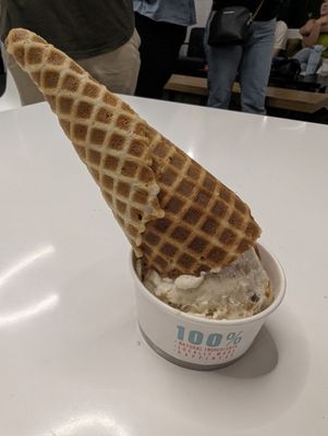 Taste & See Creamery by null