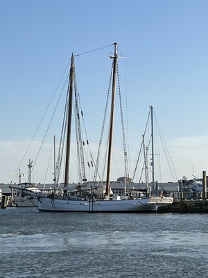 Sandlapper Water Tours by null