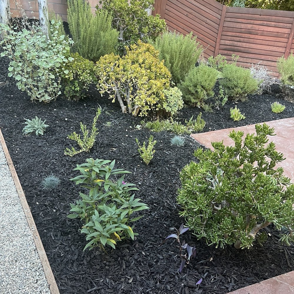 General Native Green - Plants mulch drip system - Landscaping Near Me - Sunland, California