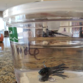 Petco - Pet Stores Near Me - San Jose, California Petco - Pet Stores Near Me - San Jose, California