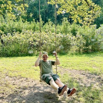 Buckroe Coffee - There's an old fashioned swing under a tree in the shade - Coffee Roasteries Near Me - Hampton, Virginia