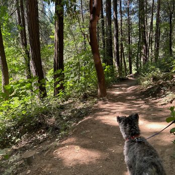 Deer Creek Tribute Trail - This was the start of the hike. - Hiking Near Me - Nevada City, California