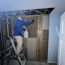 Restore All - Mold Remediation