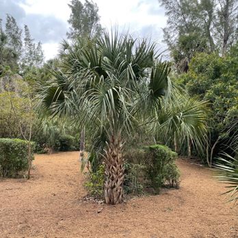 Spanish River Park - Parks Near Me - Boca Raton, Florida Spanish River Park - Parks Near Me - Boca Raton, Florida