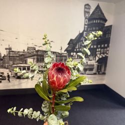 Helen's Flower Shop - Stunning