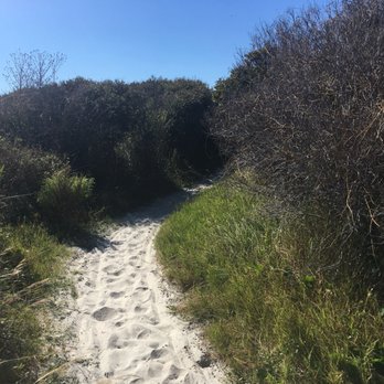 Little Talbot Island State Park - I love the beauty of nature. Just hate the bugs. - Beaches Near Me - Jacksonville, Florida Little Talbot Island State Park - I love the beauty of nature. Just hate the bugs. - Beaches Near Me - Jacksonville, Florida
