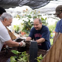 Our residents work in the greenhouse as part of our Training & Education program.